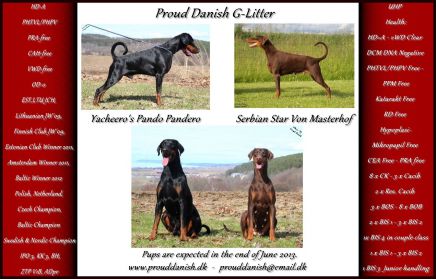 Proud Danish G litter