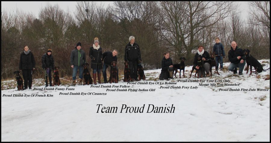 Proud Danish Puppy day Feb. 2013